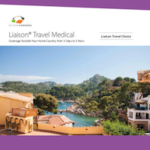 liaison travel medical